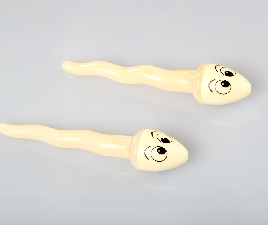 Fertilità Maschile