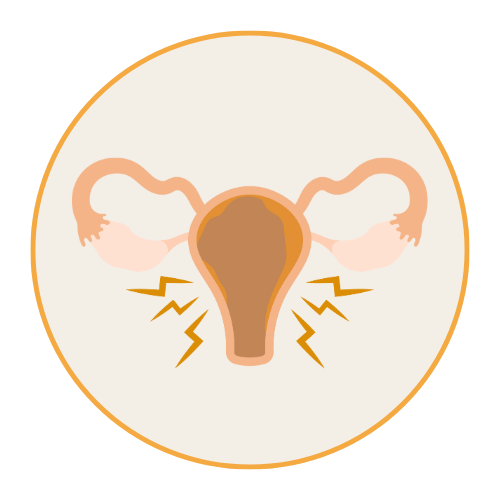 Categoria Endometriosi